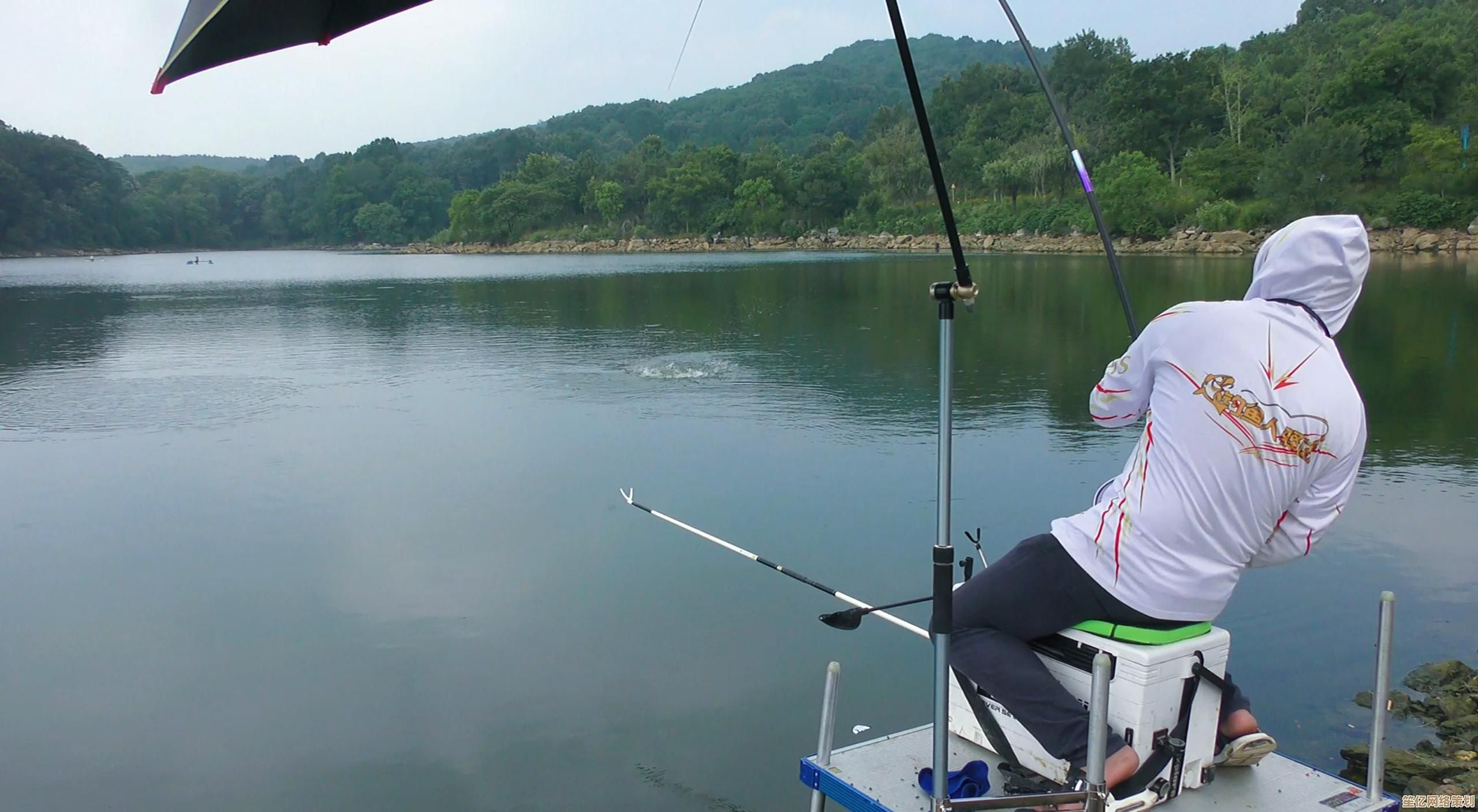 了解固态硬盘的卓越性能：小鱼带您体验快速启动与数据安全