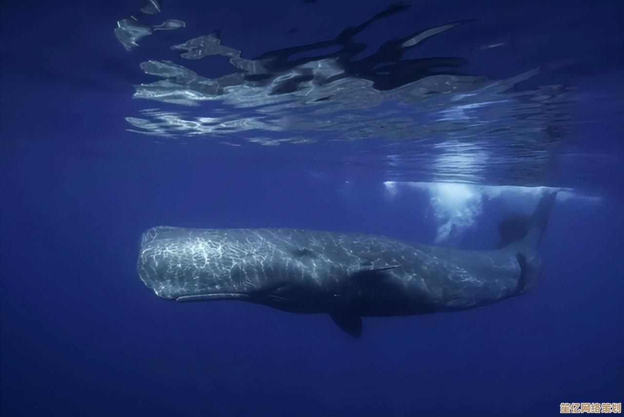 未来装备登场!死亡搁浅2利用反重力运输器跨越复杂河道 未来装备登场!死亡搁浅2利用反重力运输器跨越复杂河道