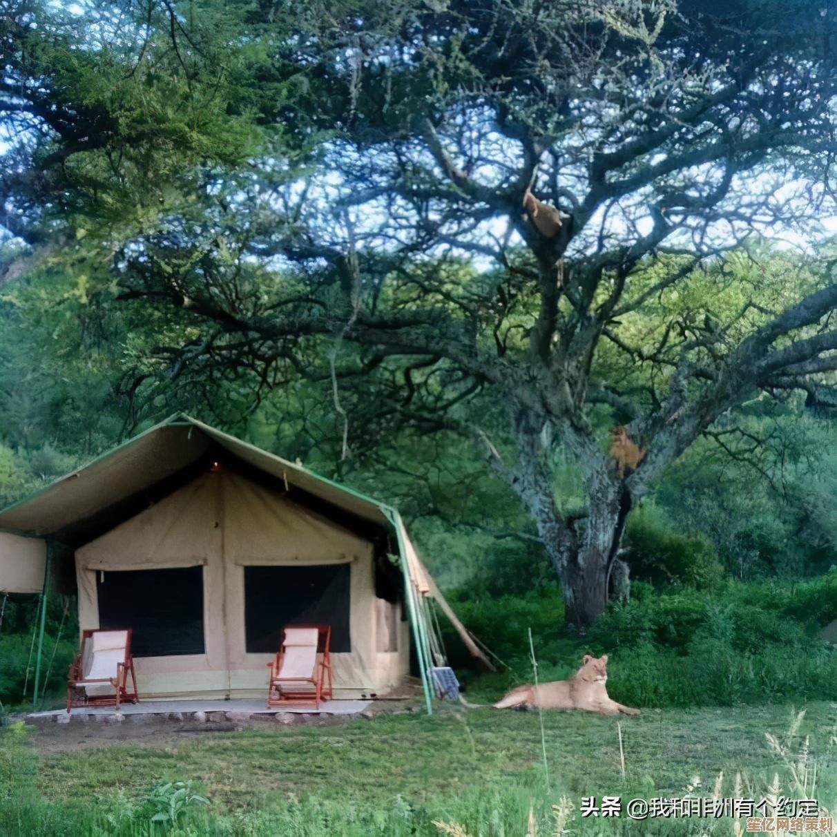 未来都市停车新体验,原始星球》7月28日Steam科幻竞速开启! 未来都市停车新体验,原始星球》7月28日Steam科幻竞速开启!