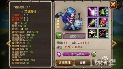 曹植角色2025年适配阵容推荐，如鸢玩家抽取决策参考指南