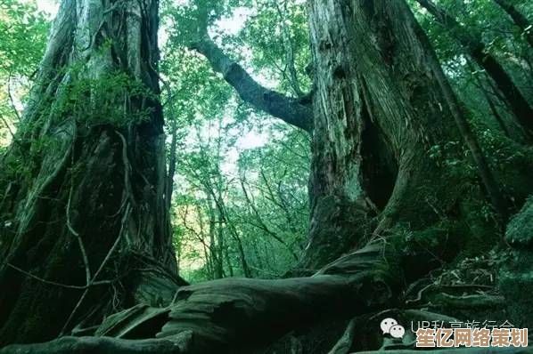 智慧森林计划：2025年科技与比比安古树共生的奇幻之旅