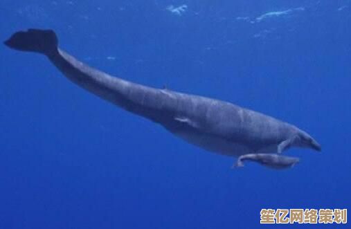 深海霸主降临！2025年最新大白鲨模拟游戏下载，高自由度猎食挑战