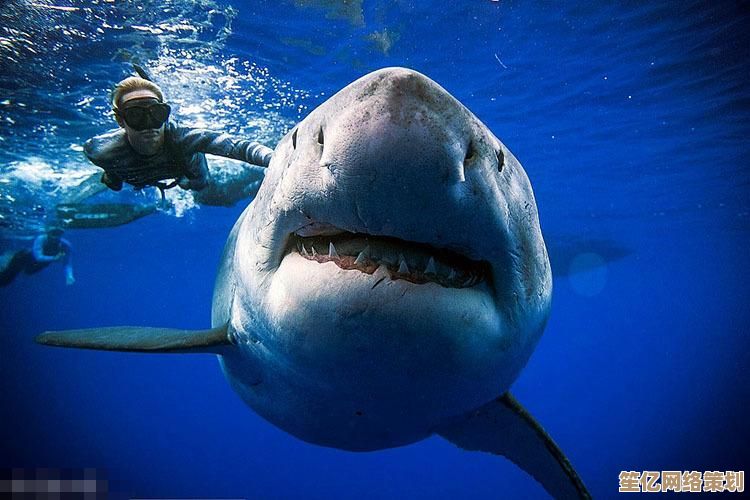 深海霸主降临！2025年最新大白鲨模拟游戏下载，高自由度猎食挑战