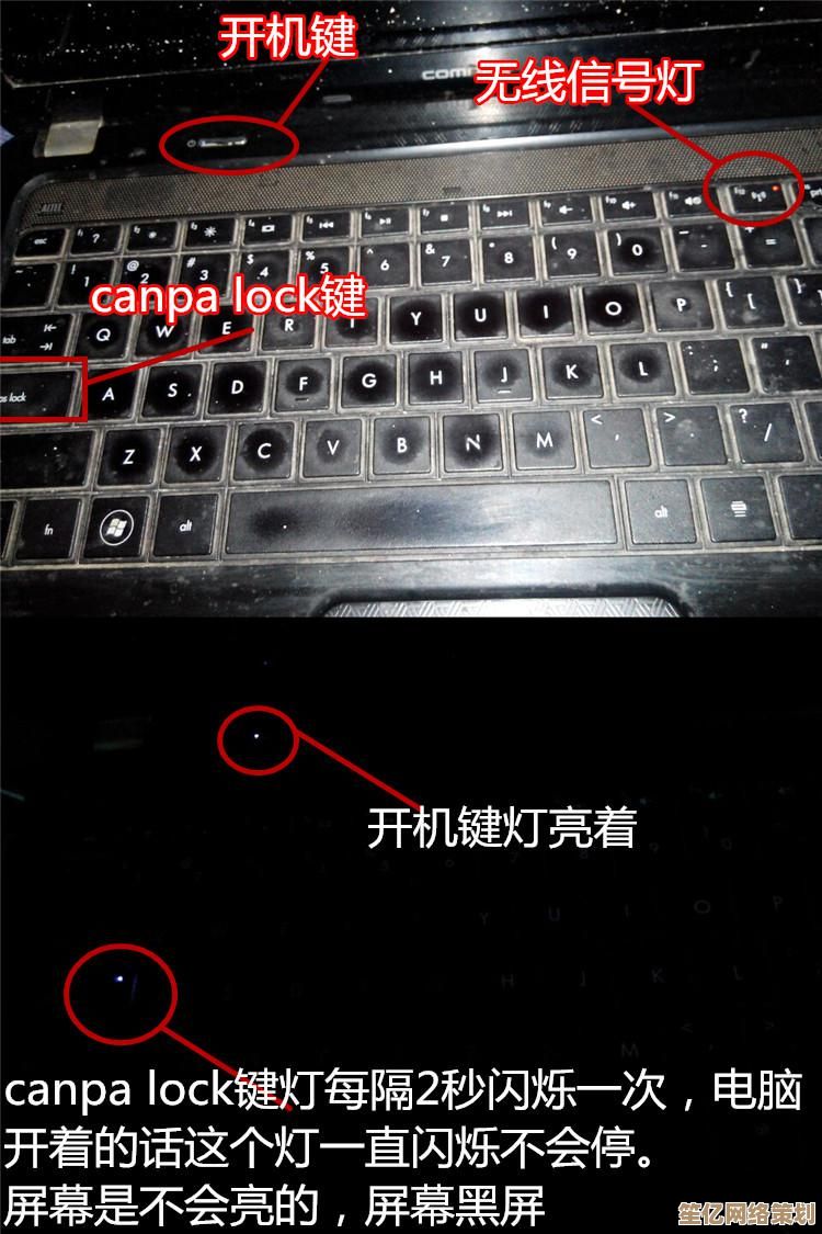 如何开启惠普电脑键盘灯？实用教程助你快速设置