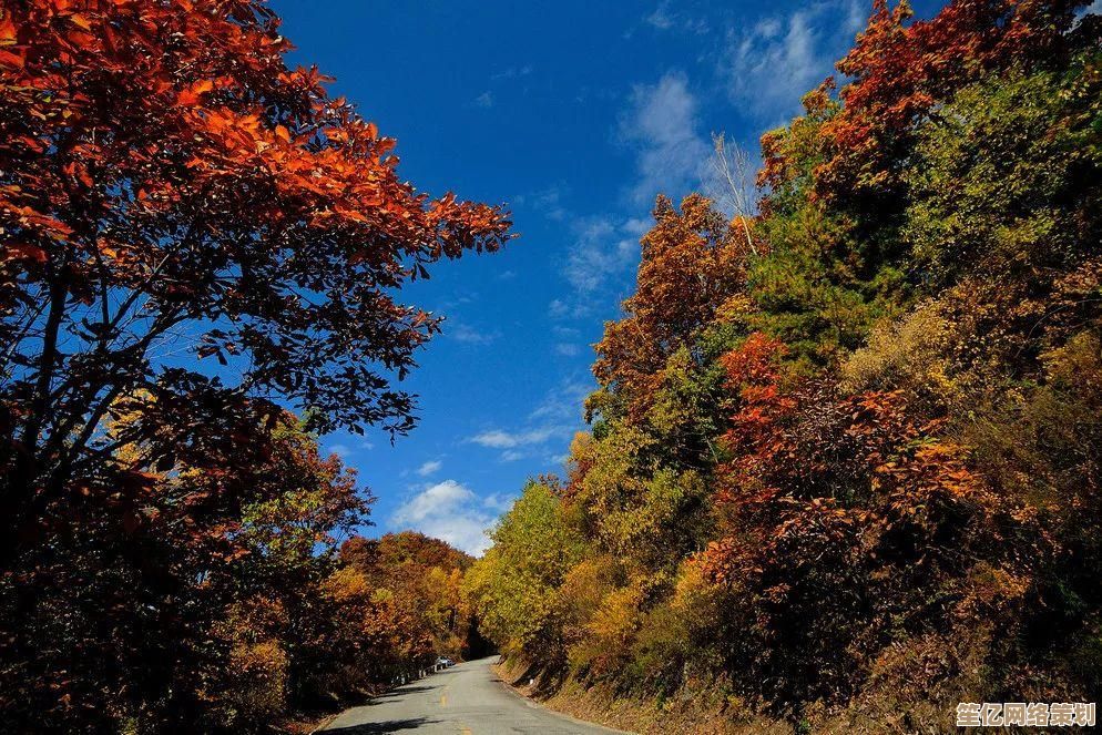 畅玩灵动游戏,激发你的智慧潜能,测试反应速度,乐趣无穷! 畅玩灵动游戏,激发你的智慧潜能,测试反应速度,乐趣无穷!