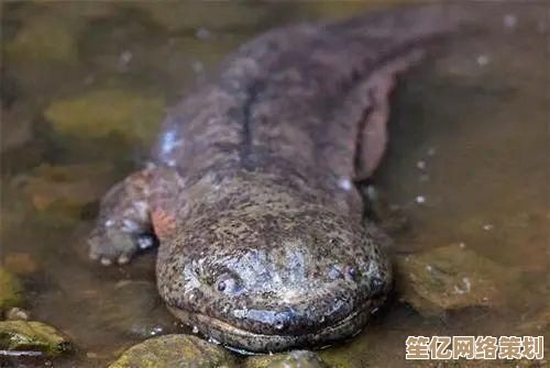 探索创造与魔法2025年度版本血蜥蜴栖息地与战斗技巧 探索创造与魔法2025年度版本血蜥蜴栖息地与战斗技巧