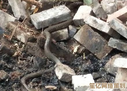 探索创造与魔法2025年度版本血蜥蜴栖息地与战斗技巧 探索创造与魔法2025年度版本血蜥蜴栖息地与战斗技巧