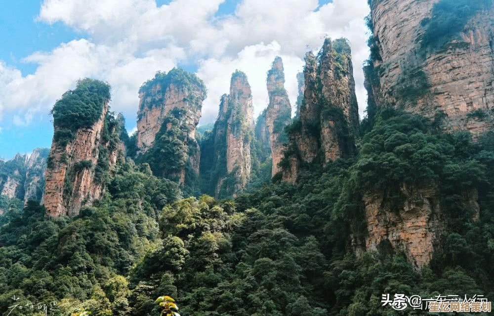 单反天梯图:摄影技巧进阶指南,助你一步步登顶影像创作高峰! 单反天梯图:摄影技巧进阶指南,助你一步步登顶影像创作高峰!