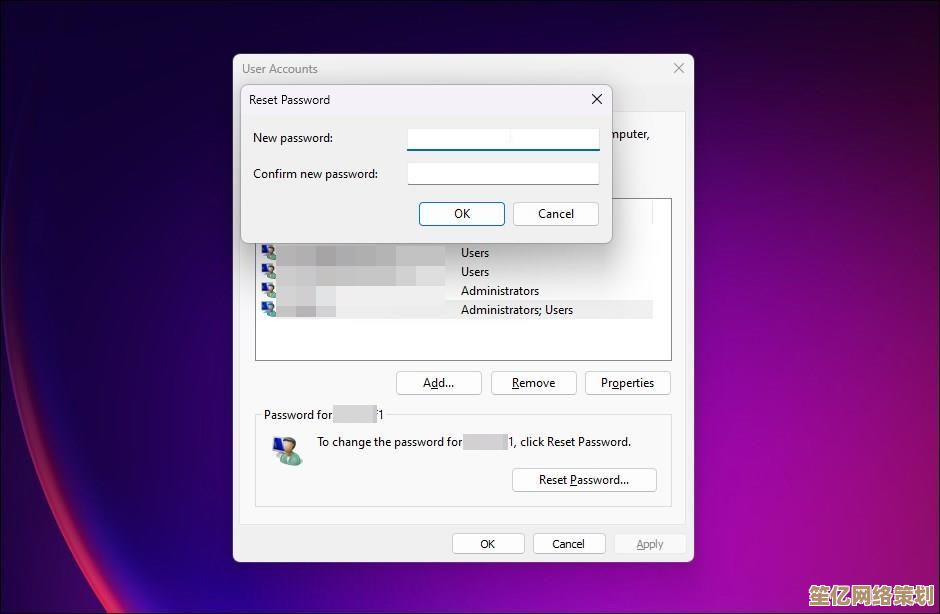 Windows 11系统账户登录与密码安全配置详细教程