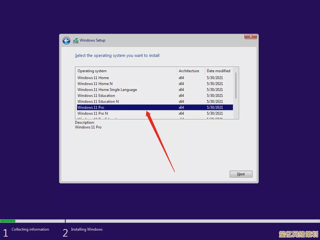 如何获取正版Windows 11专业版系统及可靠下载链接指南