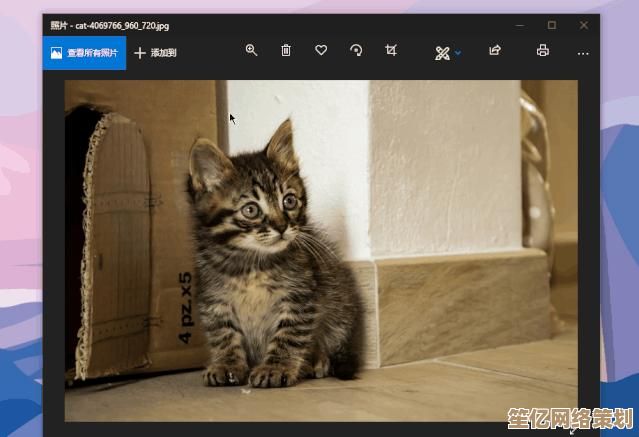 全面修复QQ异常与延迟,快速提升性能体验重回畅快沟通! 全面修复QQ异常与延迟,快速提升性能体验重回畅快沟通!