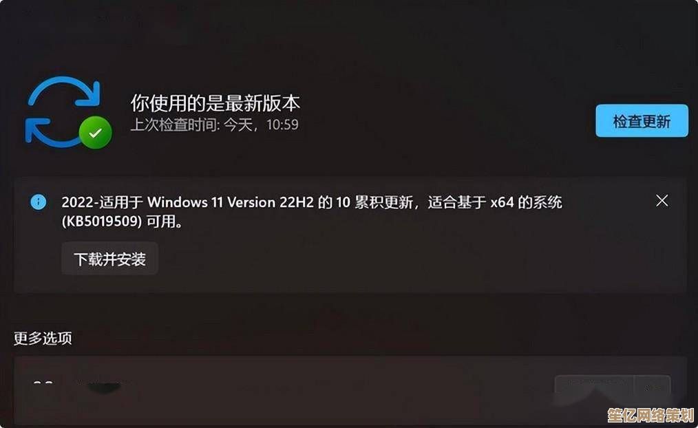 一键激活Win11潜能，免安装优化管家助您畅享高速流畅操作新境界