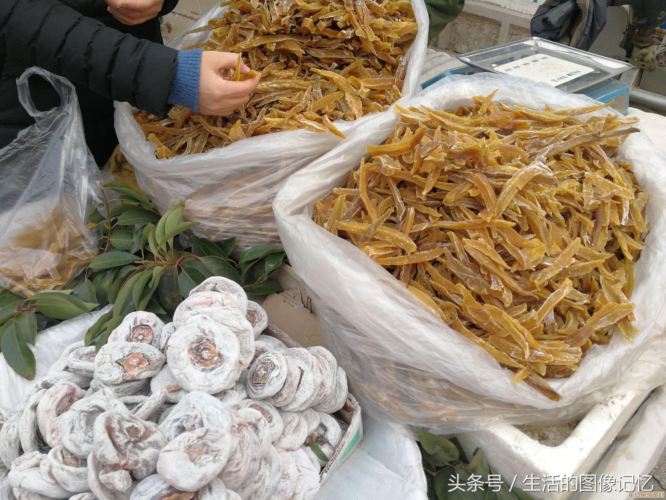 最新教程来袭：学会下载B站视频，永久保存你的收藏与分享！