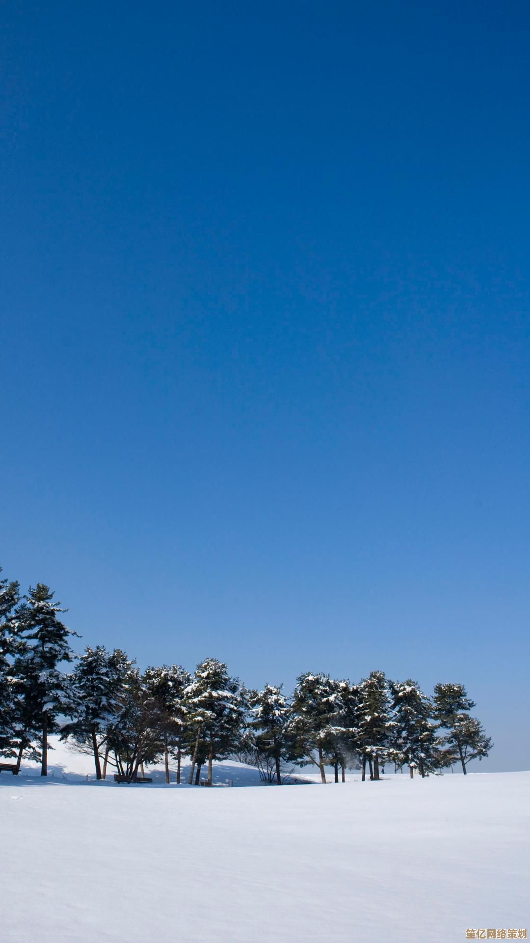 30款惊艳手机壁纸推荐,瞬间提升你的手机格调与个性魅力! 30款惊艳手机壁纸推荐,瞬间提升你的手机格调与个性魅力!