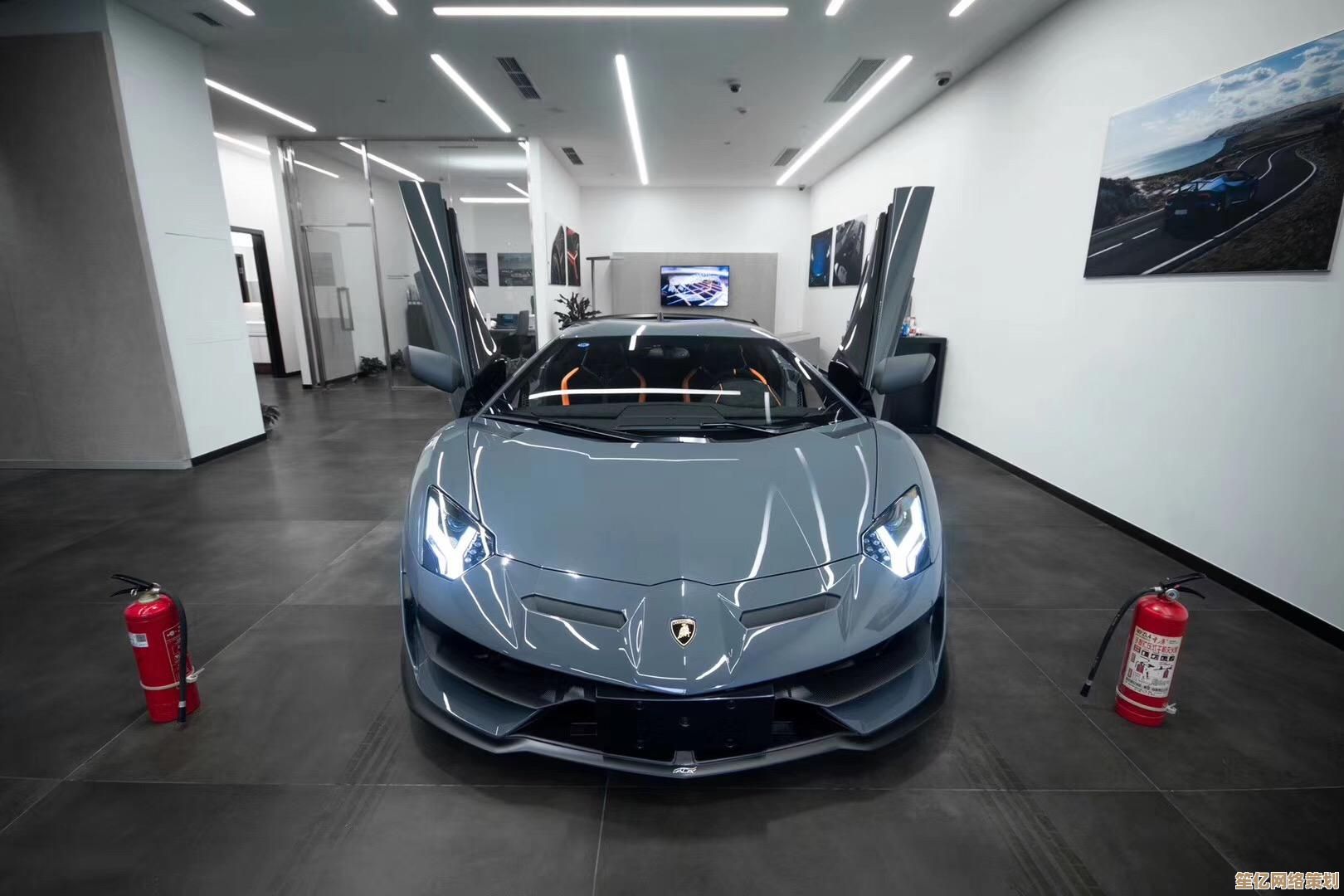 全面解读SV:了解这一缩写背后的关键信息与实用功能 全面解读SV:了解这一缩写背后的关键信息与实用功能