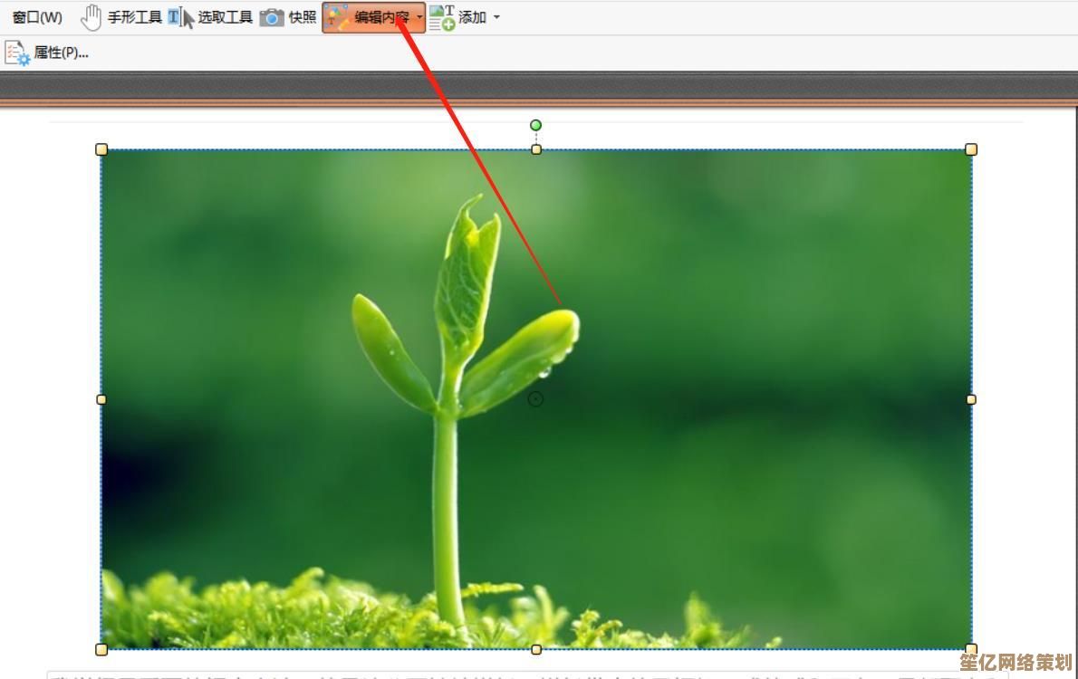 实用指南：学习高效修改PDF文件内容的多种方法