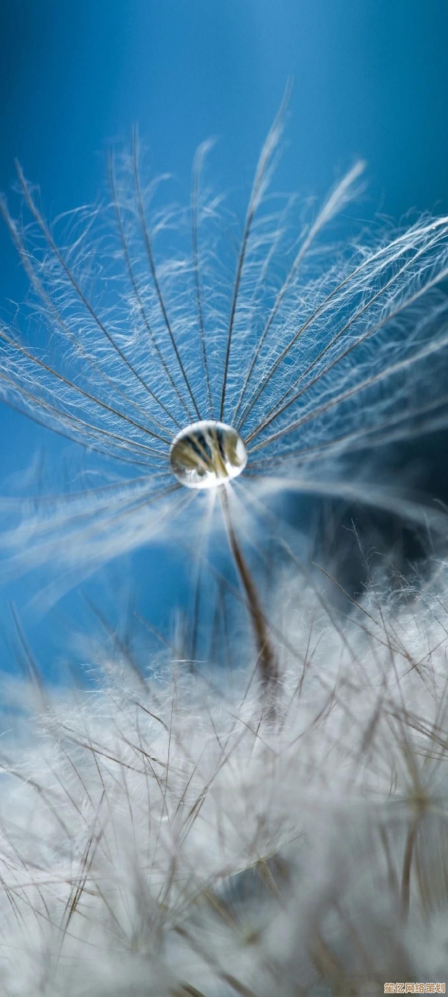 手把手教你用U盘安装Win11,系统升级不再复杂! 手把手教你用U盘安装Win11,系统升级不再复杂!