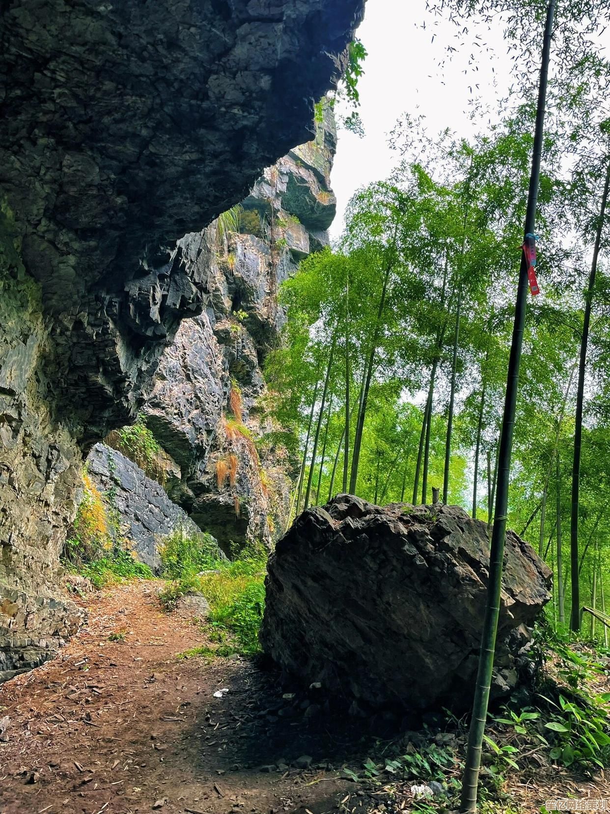 风云视频:探秘未知世界,解锁神秘事件真相,尽享震撼视觉冲击与刺激旅程! 风云视频:探秘未知世界,解锁神秘事件真相,尽享震撼视觉冲击与刺激旅程!