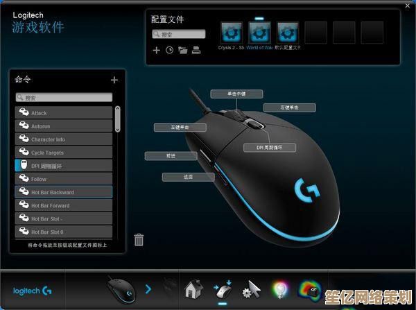 掌握罗技鼠标驱动安装技巧，提升使用体验与功能完整性