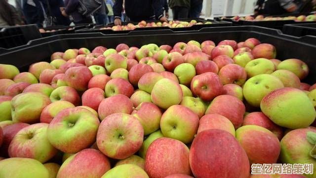 探索苹果世界：从品种特色到产地溯源，健康食用与挑选秘诀