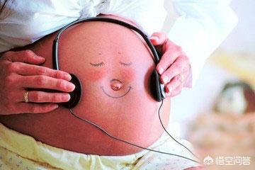 高品质音频随身携带，专业录音机下载带来卓越听觉体验