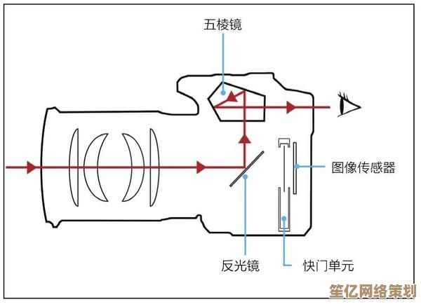 探索单反相机的真正含义：从工作原理到摄影优势全揭秘