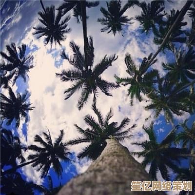 打开微博手机版，体验随时随地的便捷社交互动乐趣