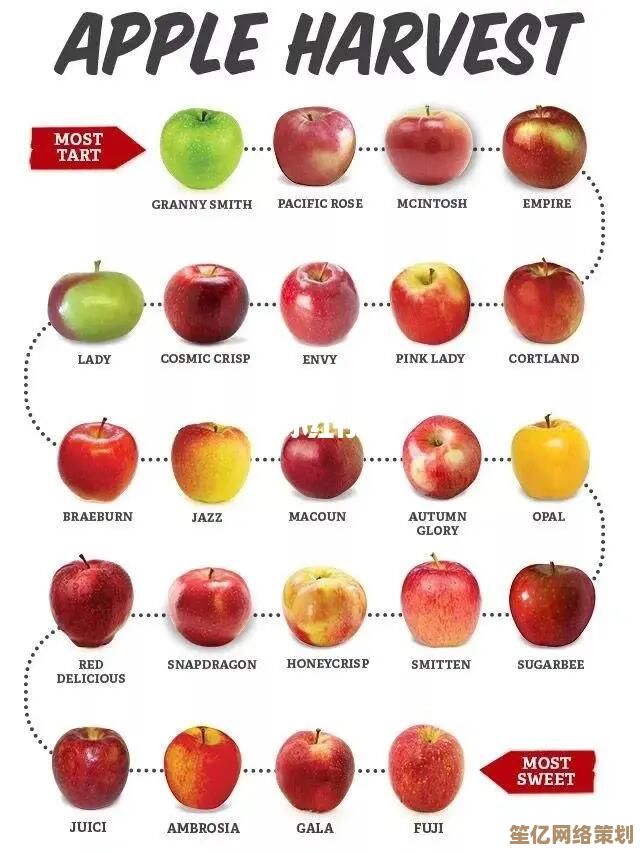 全面掌握苹果知识：品种区别、核心产地、营养解析及聪明选购技巧
