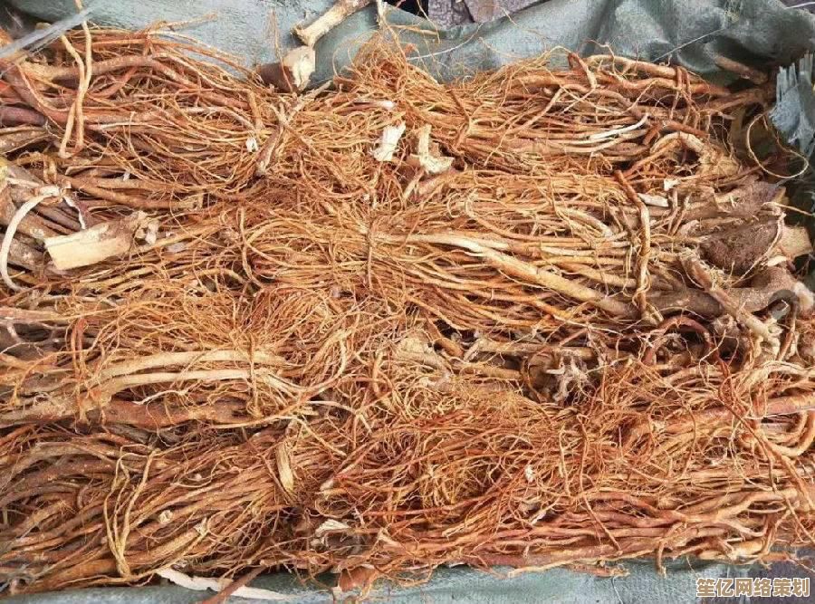 【缤纷QQ糖乐园】带你体验舌尖上的弹性乐趣，尽情舞动味蕾的旋律！