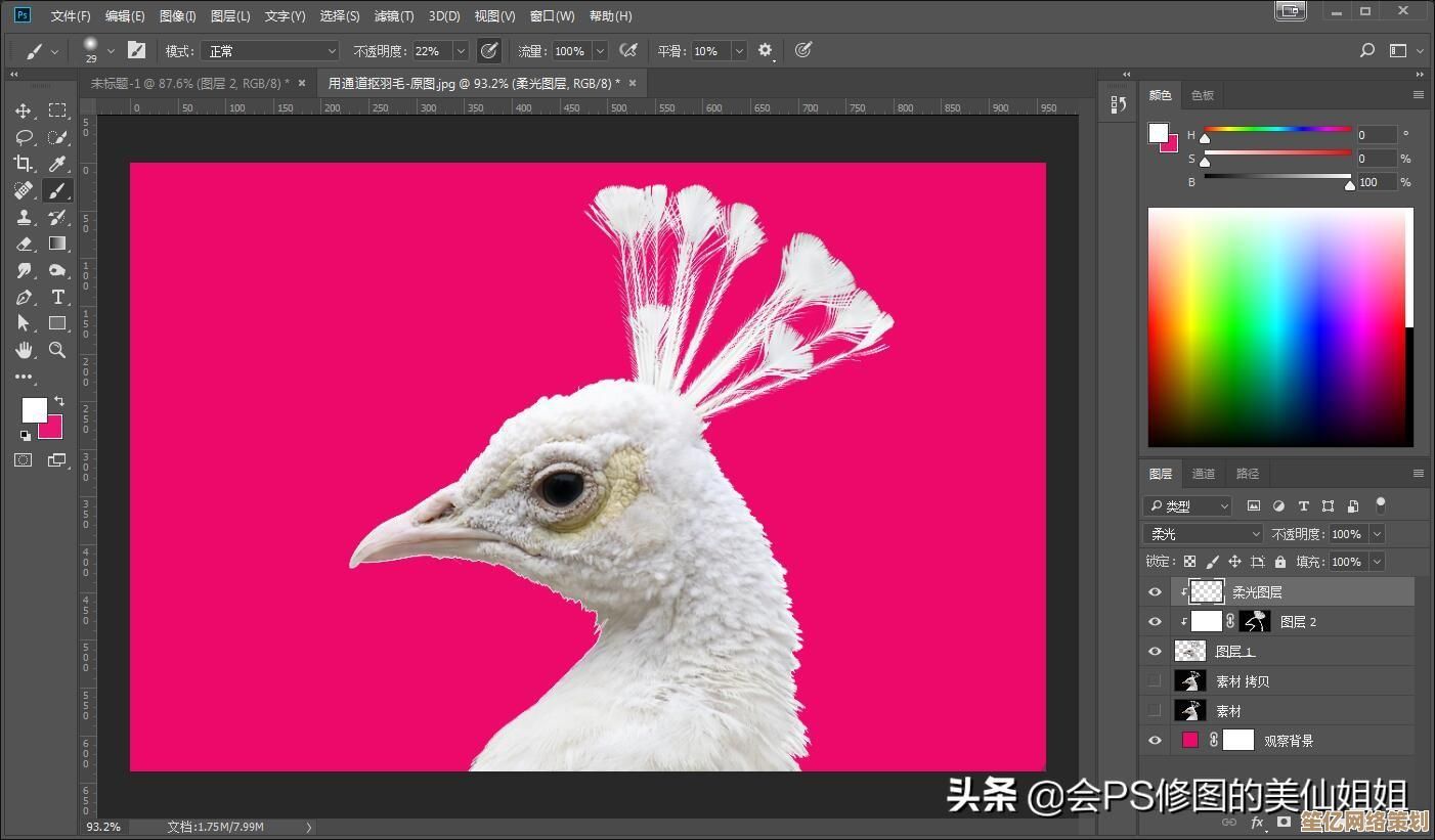 掌握PS抠图方法：从入门到精通的详细操作指南