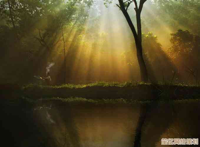 单反摄影的魅力与技巧：探索光影艺术与创意表达的无限可能