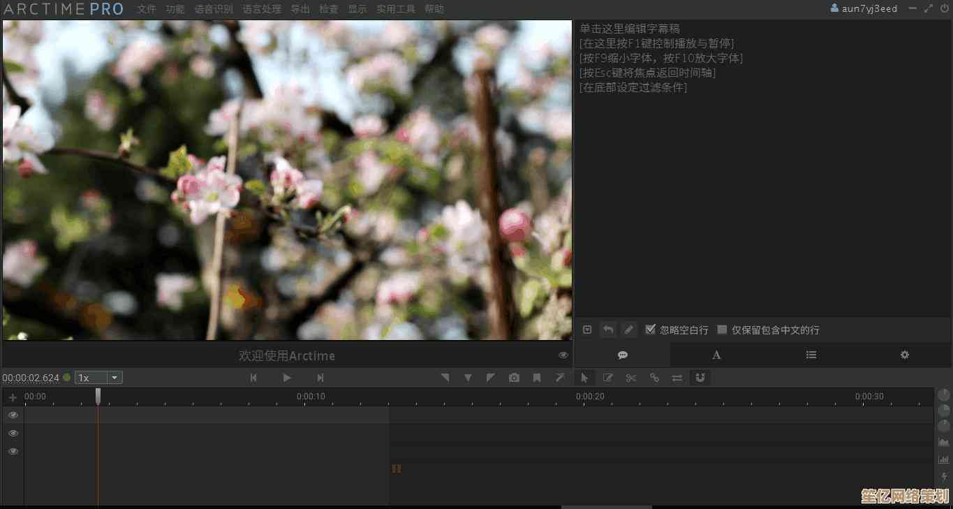 字幕文件获取后的详细操作指南