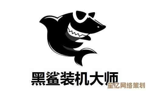 黑鲨装机大师引发黑屏的应对策略及操作步骤