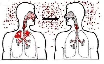 掌握安全下载软件的实用技巧,有效防范病毒与恶意程序侵害 掌握安全下载软件的实用技巧,有效防范病毒与恶意程序侵害