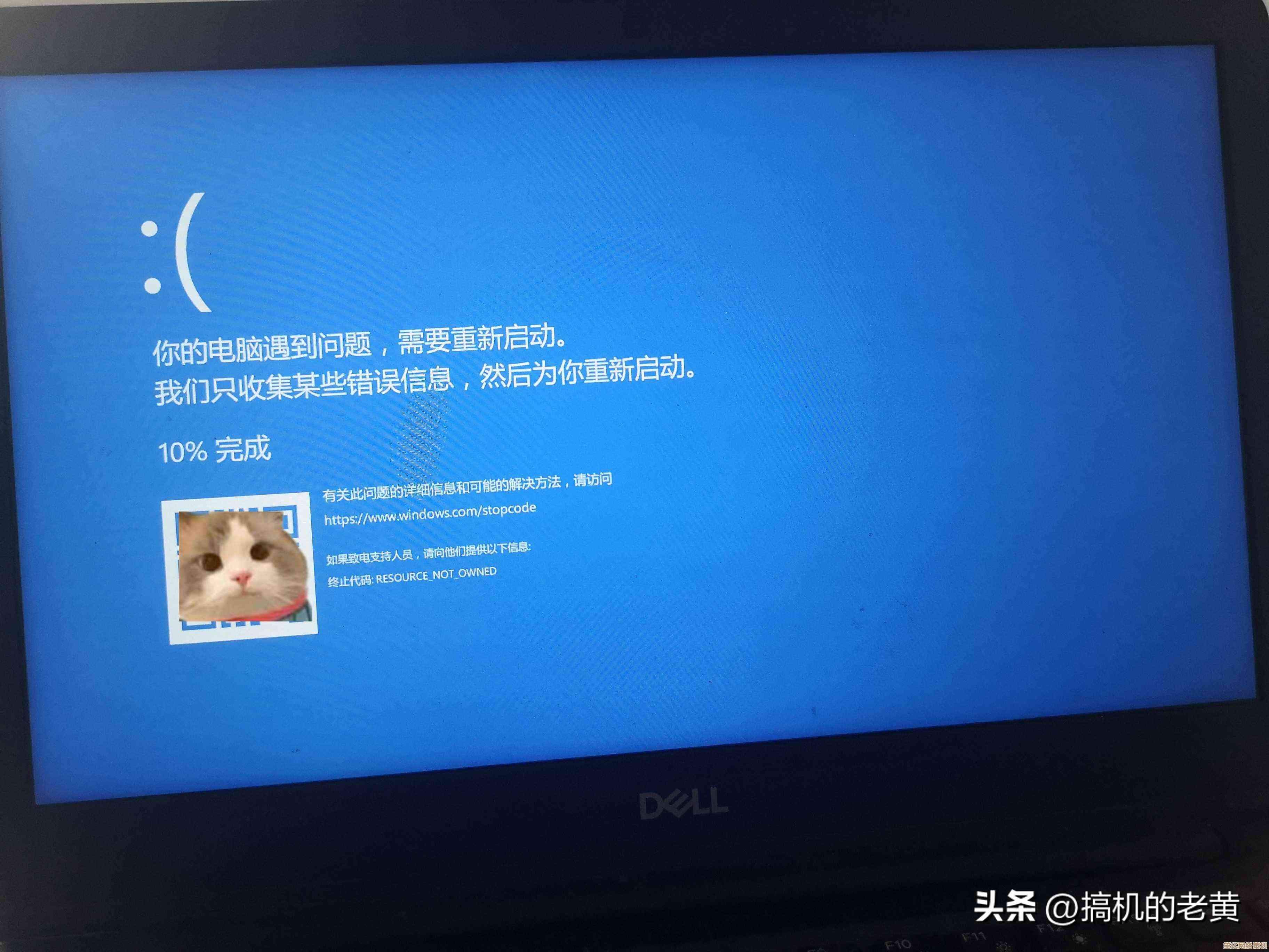 如何快速修复戴尔笔记本蓝屏问题：详细操作教程