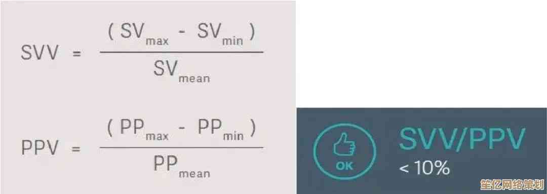 SV是什么意思？全面解析SV的含义与实际应用场景