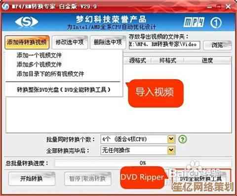 了解MPEG4格式特性：小鱼教您使用专业转换器优化视频文件