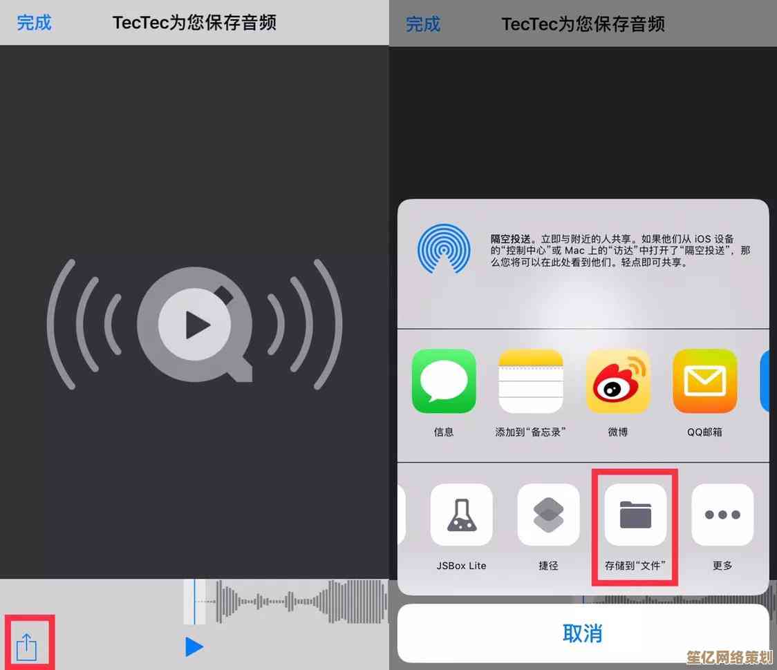 掌握迅雷电影下载技巧：从搜索到保存的全流程教学