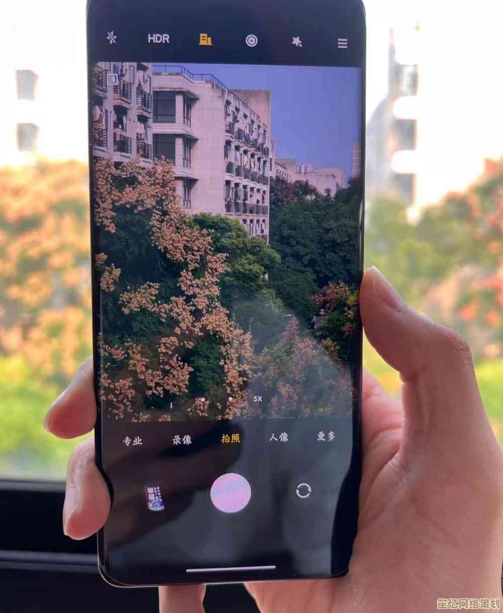 快速获取Win11电脑主板型号和系统信息的操作指南