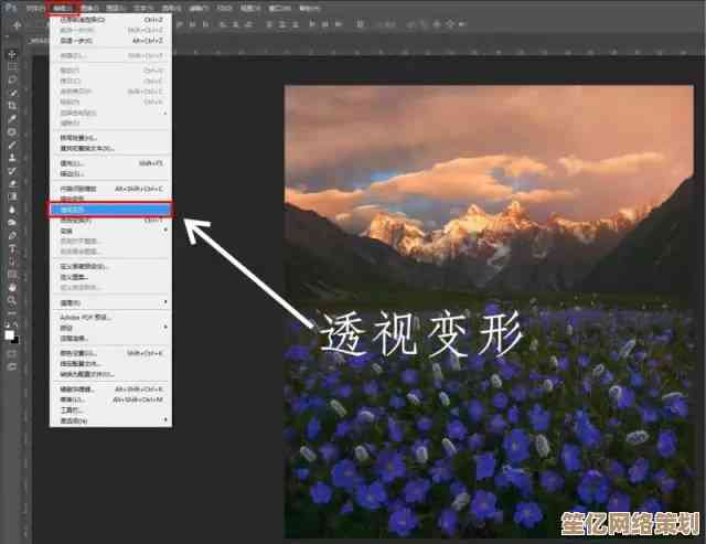 相机画质天梯图解析：探寻顶级拍摄装备，开启影像视觉盛宴之旅