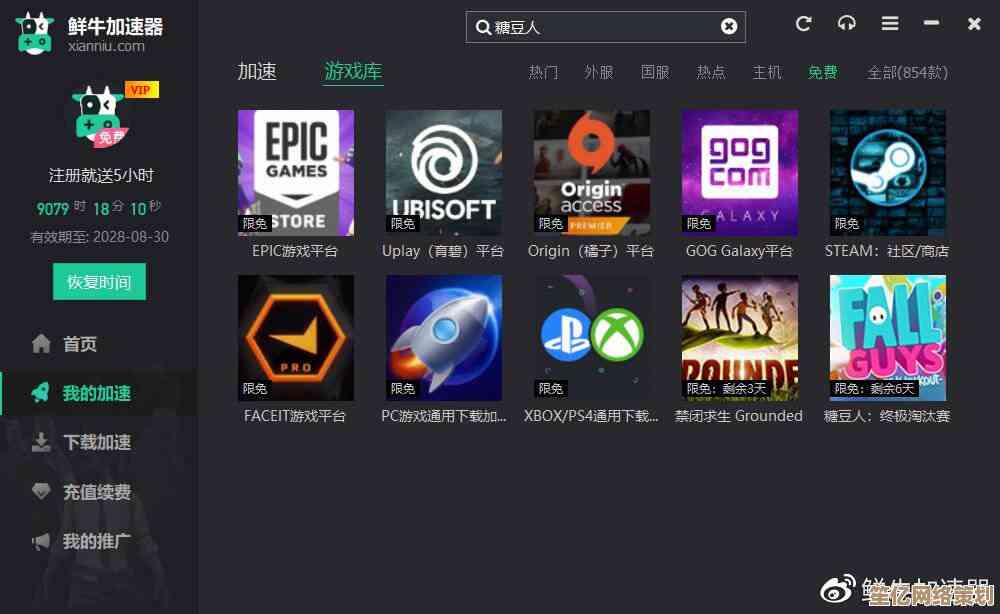 与迅雷游戏加速器并肩，体验极速连接带来的胜利快感！