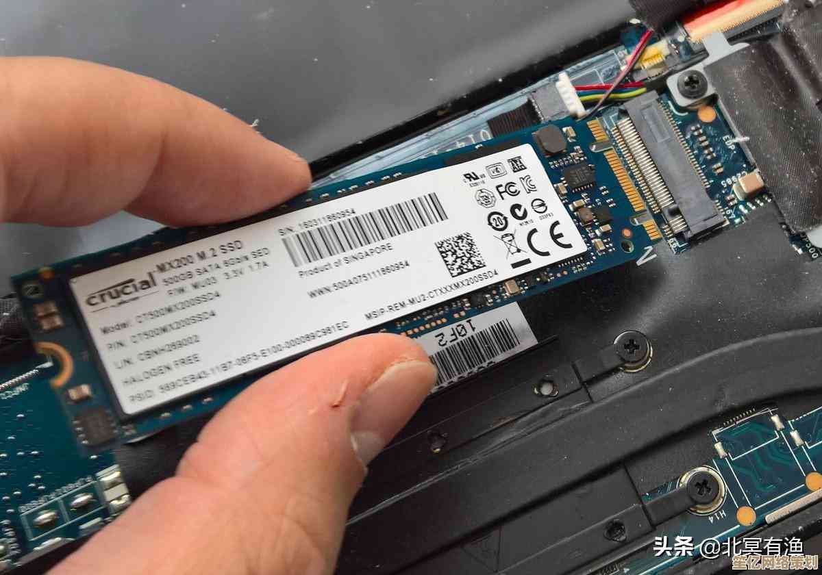 固态硬盘选购指南：主流品牌性能对比与推荐