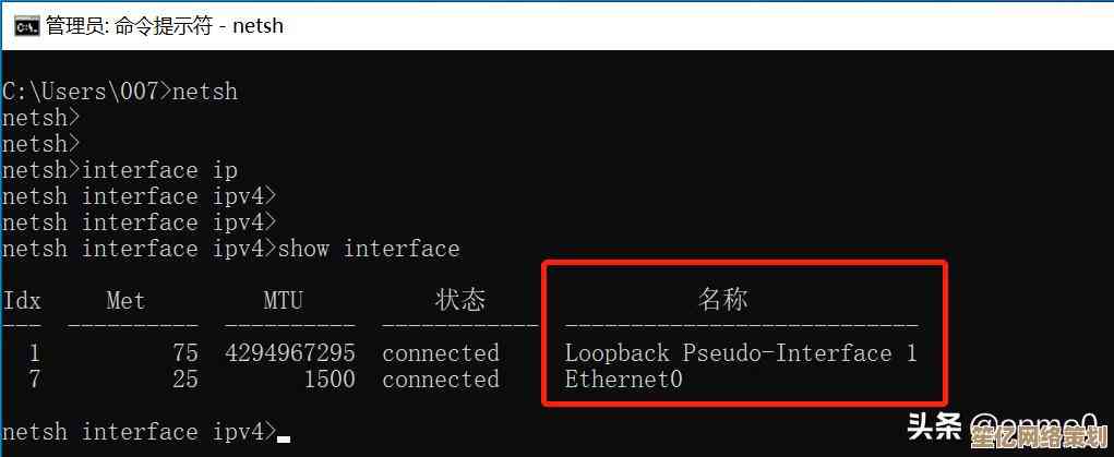 修改IP地址的详细指南：原因分析与操作步骤全解析
