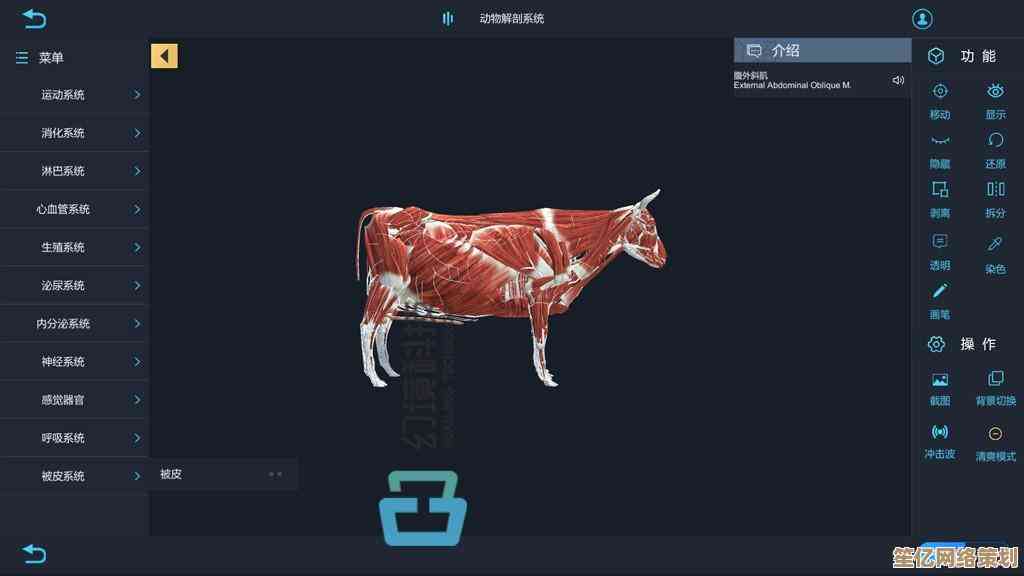 QQ游戏必备辅助工具指南：智慧助力轻松通关，玩转虚拟世界更自在