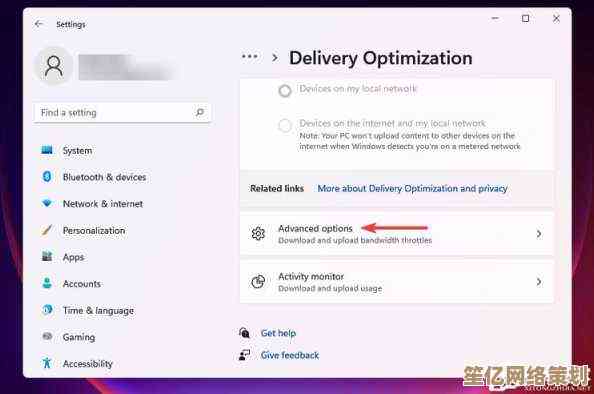 Windows 11浏览器全面升级，极速上网体验让您畅享网络新境界！