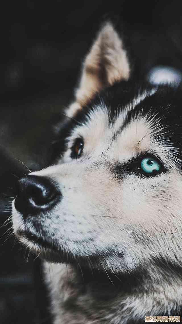 提升苹果手机美感的十种墙纸选择：从简约到艺术，总有一款适合您的品味与风格