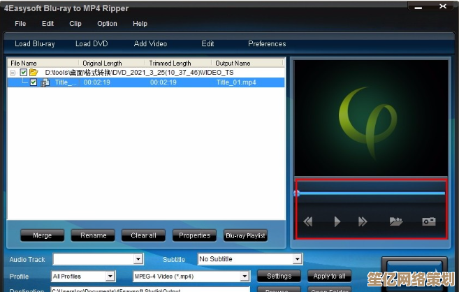 专业视频下载工具站，支持多种格式与分辨率选择的一站式解决方案