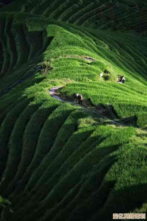 选购相机不再难:天梯图详析各品牌优势,轻松找到您的专属之选 选购相机不再难:天梯图详析各品牌优势,轻松找到您的专属之选