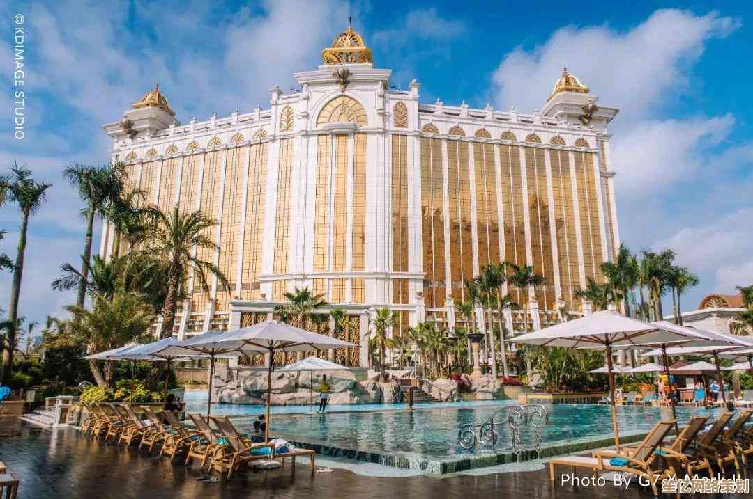佳能相机天梯图：开启您的专业摄影探索之旅新篇章