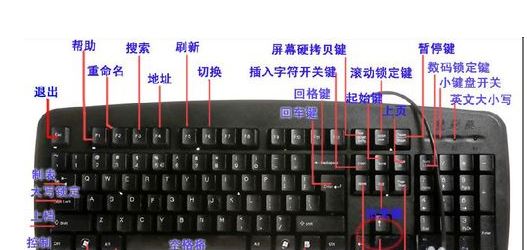 掌握文件重命名快捷键，小鱼带您高效操作电脑